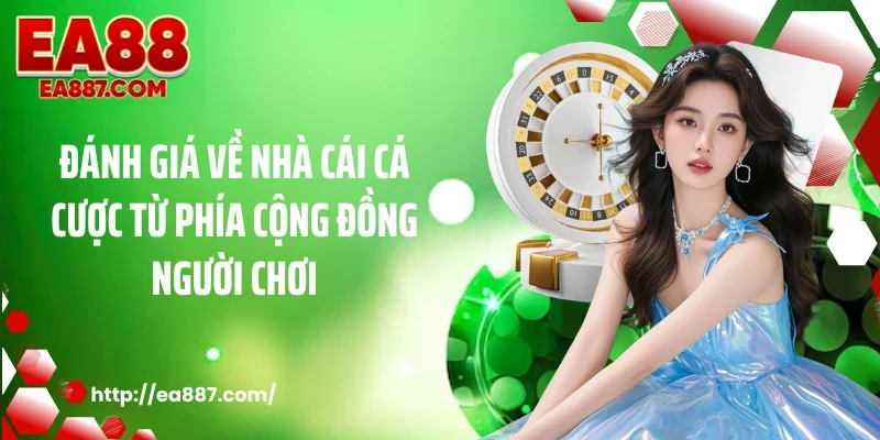 Đánh giá về nhà cái cá cược từ phía cộng đồng người chơi