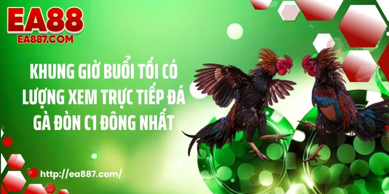 Khung giờ buổi tối có lượng xem trực tiếp đá gà đòn C1 đông nhất