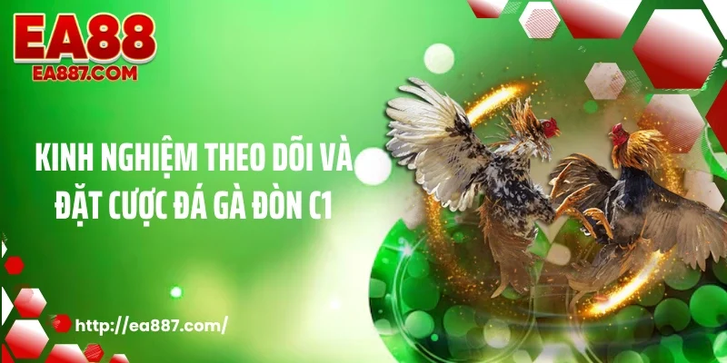 Kinh nghiệm theo dõi và đặt cược đá gà đòn C1