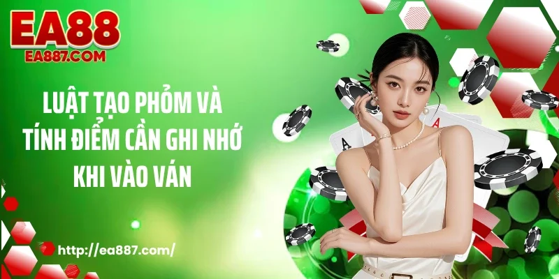 Luật tạo phỏm và tính điểm cần ghi nhớ khi vào ván
