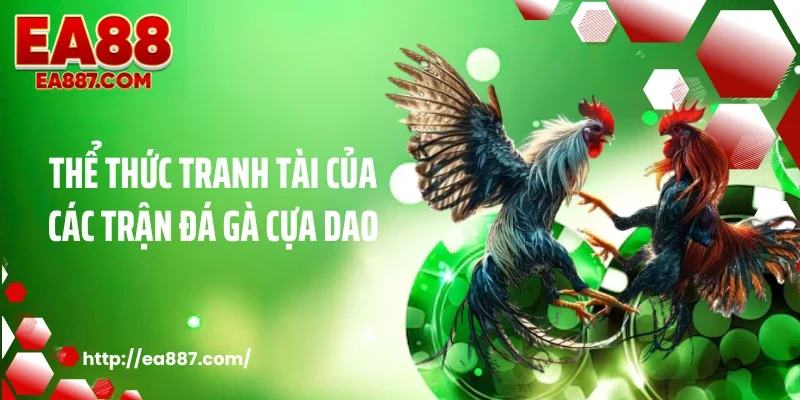Thể thức tranh tài của các trận đá gà cựa dao