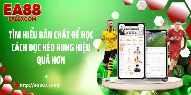 Tìm hiểu bản chất để học cách đọc kèo rung hiệu quả hơn