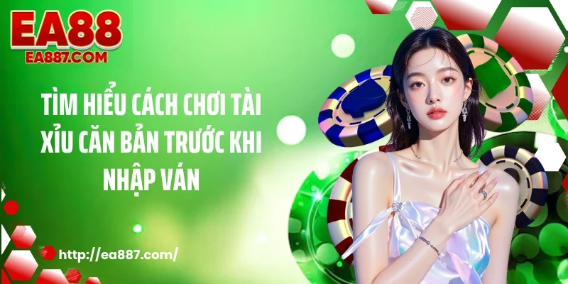 Tìm hiểu cách chơi tài xỉu căn bản trước khi nhập ván