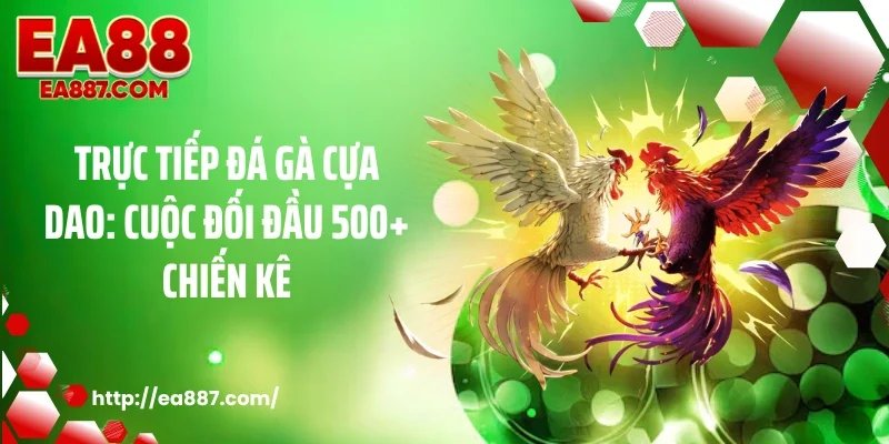 Trực Tiếp Đá Gà Cựa Dao: Cuộc Đối Đầu 500+ Chiến Kê