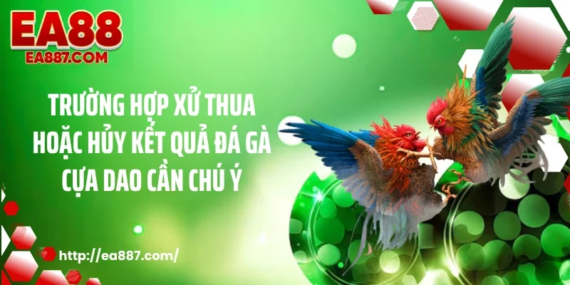 Trường hợp xử thua hoặc hủy kết quả đá gà cựa dao cần chú ý