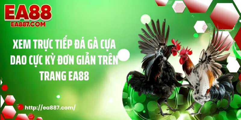 Xem trực tiếp đá gà cựa dao cực kỳ đơn giản trên trang EA88